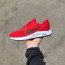 ​Кросівки Nike 41 (26 см.) - ​Кросівки Nike 41 (26 см.)