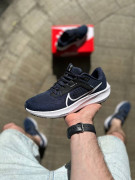 Кросівки Nike Pegasus40