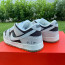 ​Кросівки Nike SB Dunk 36-45 р. Весна 5 кольорів - ​Кросівки Nike SB Dunk 36-45 р. Весна 5 кольорів