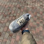 ​​Кросівки ASICS Gel-Flux 4 42 (26 см.)  р. Весна-Літо  - ​​Кросівки ASICS Gel-Flux 4 42 (26 см.)  р. Весна-Літо 