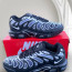 Кросівки Nike Air Max Plus Drift 41-46 р. Весна 8 кольорів - 0278