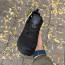 ​Кросівки Columbia Humtto BOA 41, 43, 44 р. Gore-Tex Осінь-Зима Є ОПТ - ​Кросівки Columbia Humtto BOA 41, 43, 44 р. Gore-Tex Осінь-Зима Є ОПТ