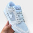 ​Кросівки Nike SB Dank Lon 37-46 р. 5 кольорів Весна-Літо-Осінь - 6022