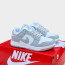 ​Кросівки Nike SB Dank Lon 37-46 р. 5 кольорів Весна-Літо-Осінь - 6023