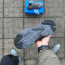 Кроссовки Adidas Ozweego - Кроссовки Adidas Ozweego